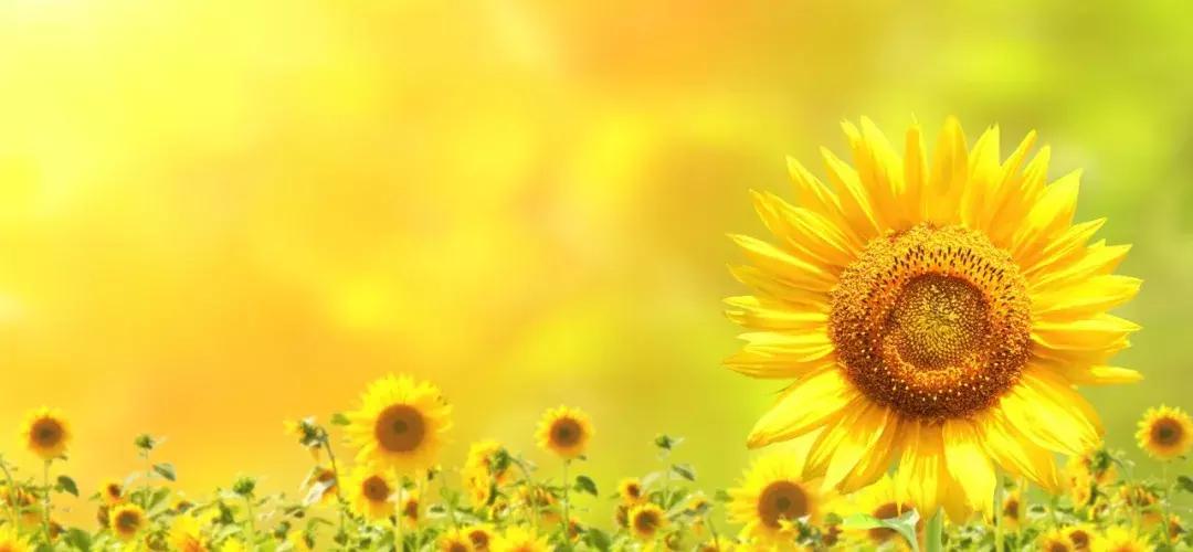 令人动容曾经支教的老师,去新疆支教老师哭了