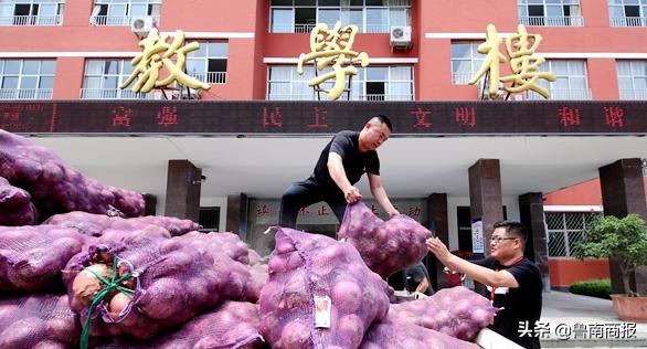 多方援手销洋葱,多方爱心接力帮助瓜农销瓜