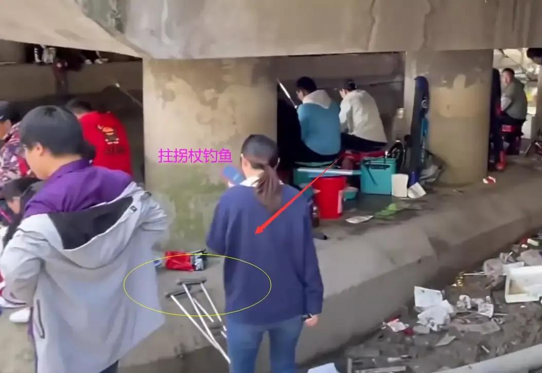 上海钓鲫鱼,一天钓几十斤鲤鱼咋办