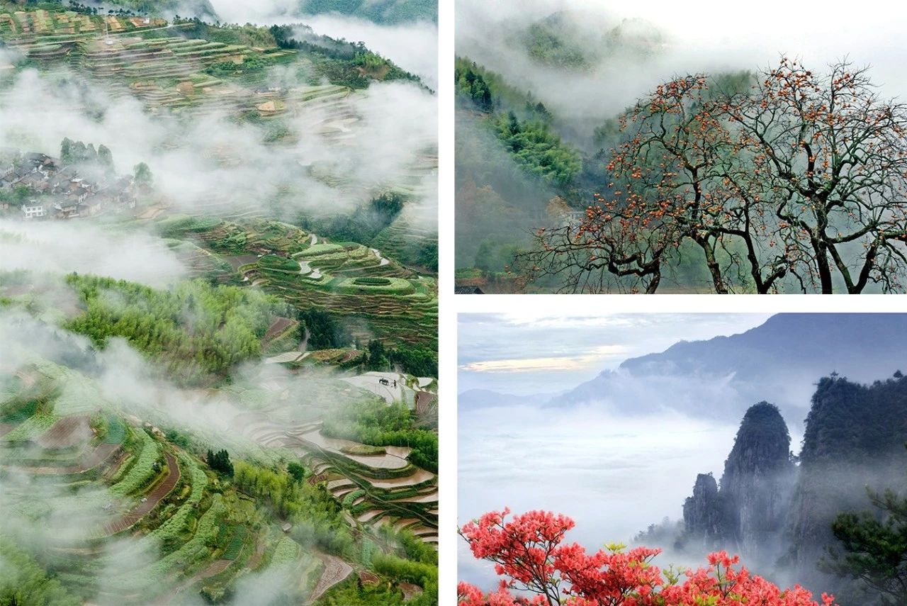 遂昌最漂亮的山路,遂昌最深的景点