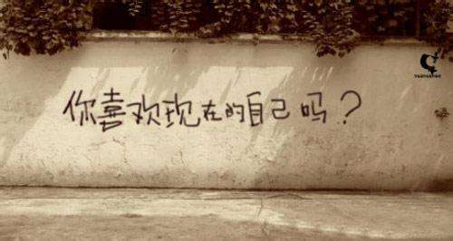 网赌悔不当初,网赌是一条不归路吗