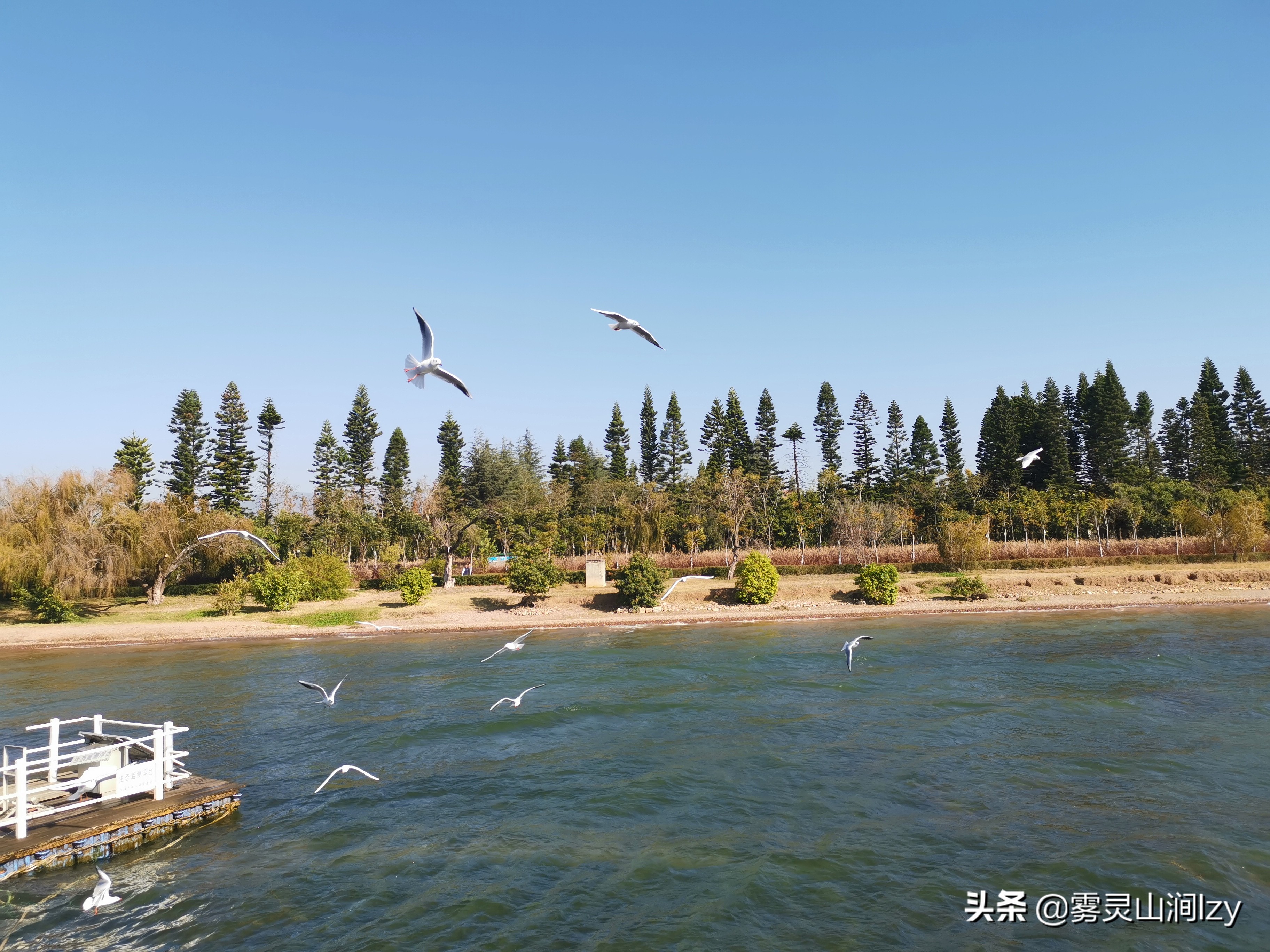 全国希尔顿一览,全中国度假酒店