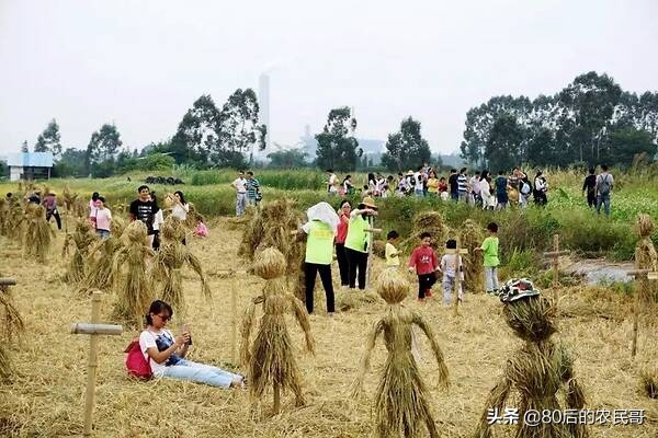 农家乐里的废物变废为宝,农业废物的处理和利用方法