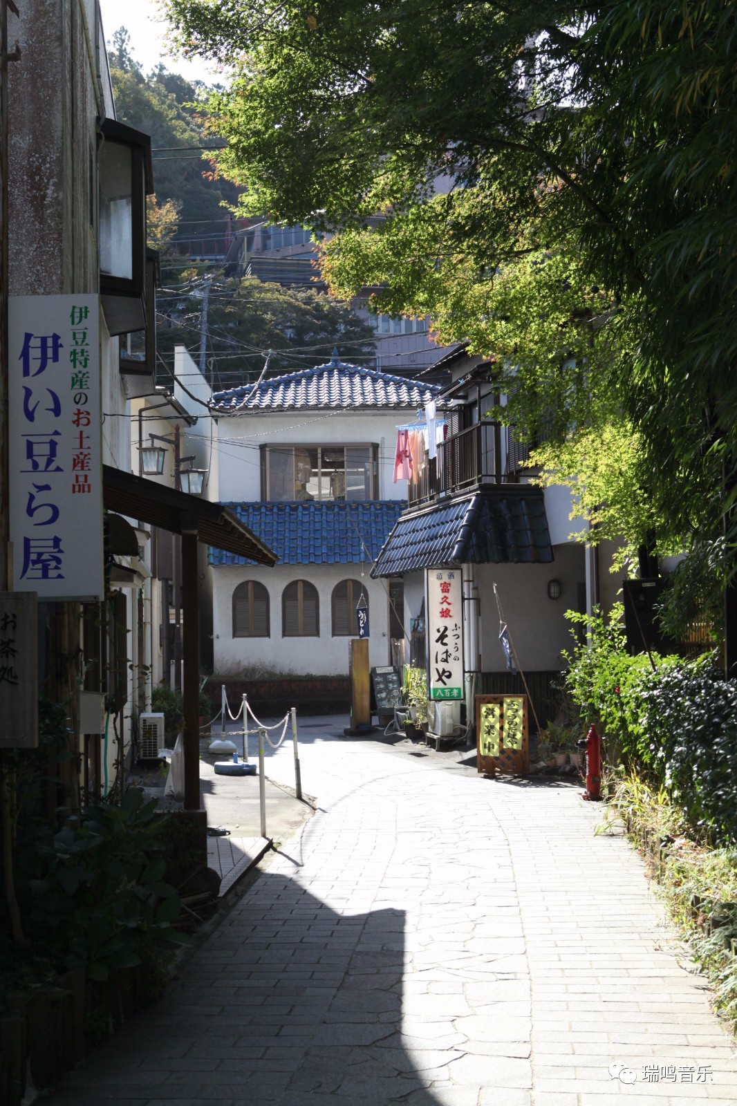 伊豆的舞女为什么是经典,伊豆的舞女中舞女的形象