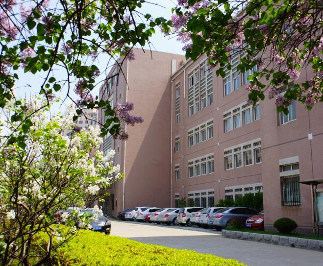 2020全景看高中丨大十二，教给我爱，教给我向上成长的勇气和力量