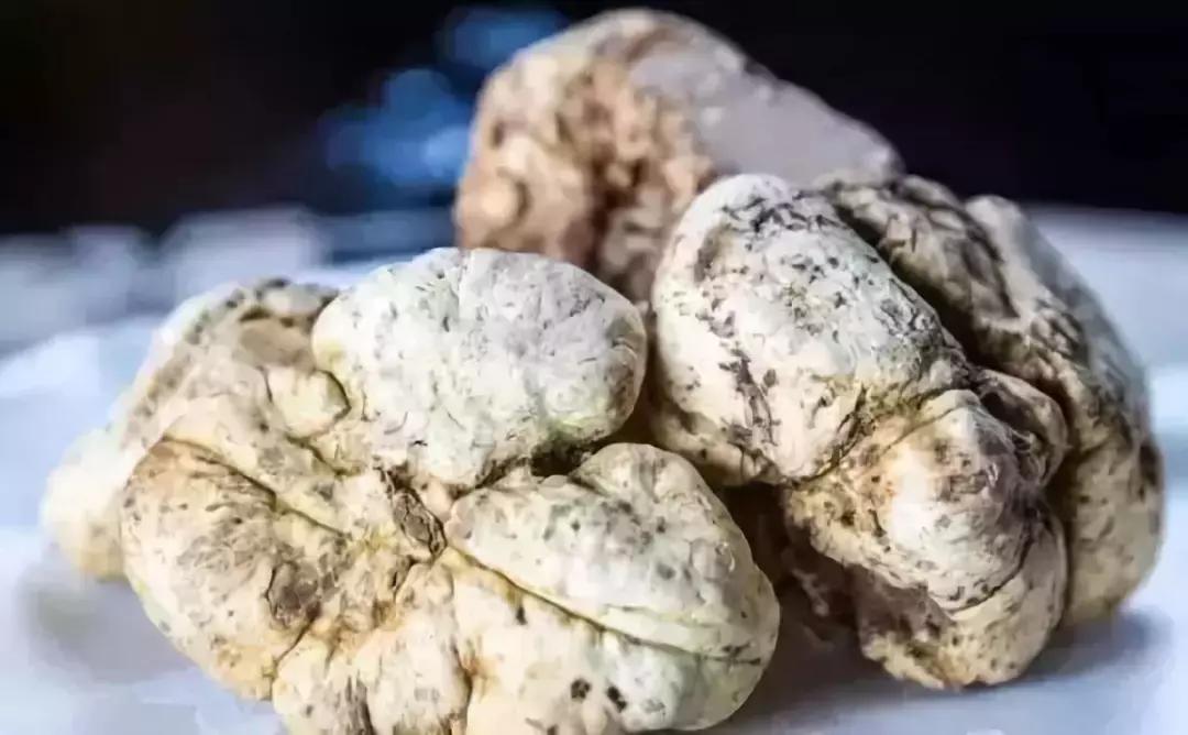 世界上最昂贵的东西是你的快乐,世界上最昂贵的东西就是你的快乐