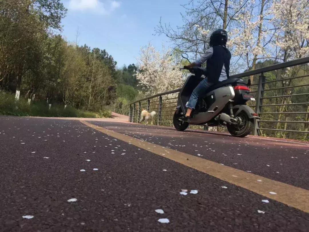 电动自行车“新国标”已实施，遵义车主：咋个没动静耶？