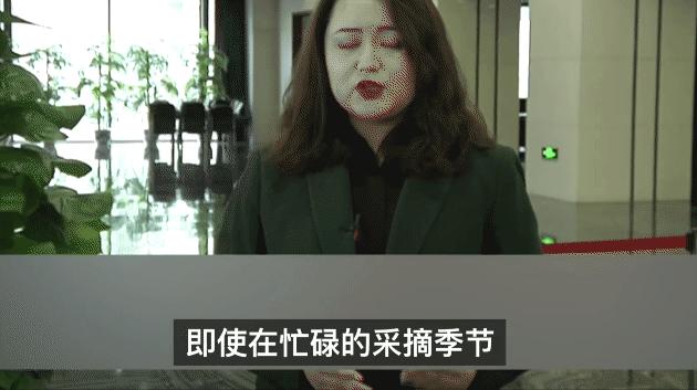 HM*制抵***疆新**棉花：明明那么普通，哪来的自信？