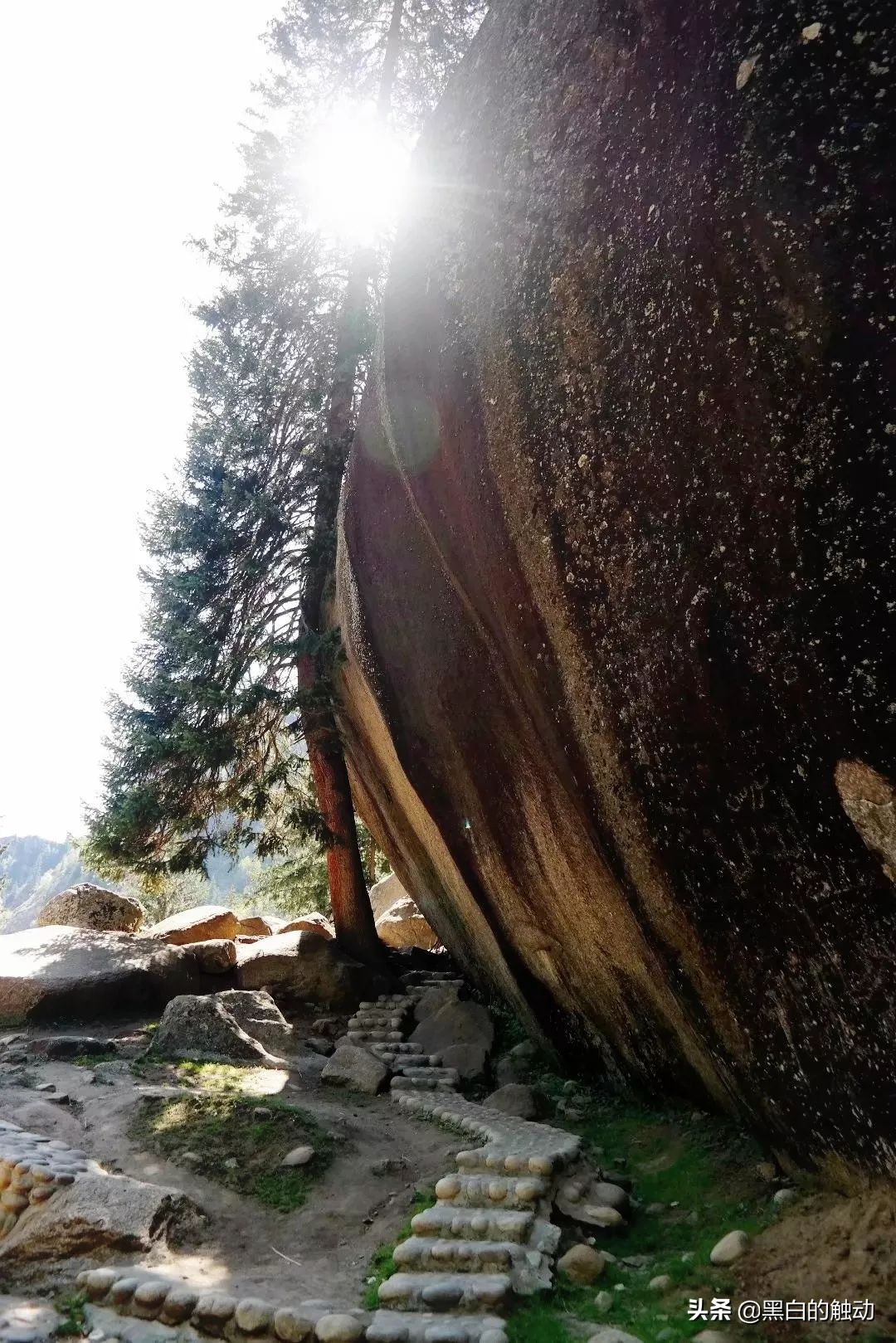 都说新疆好去新疆发展可靠么,都说新疆好地方