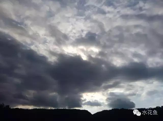 低温不退用什么药,低温咋治