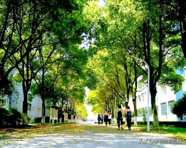 常熟理工学院丁辉演讲,常熟理工学院丁辉个人简历