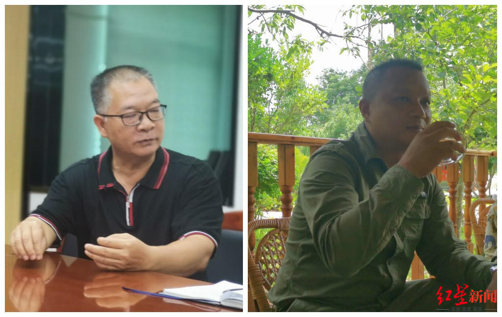 专访：亚洲象北上是整体趋势，长期投喂香蕉、菠萝、玉米等高糖、高热量食物，可能导致野象得高血压、糖尿病