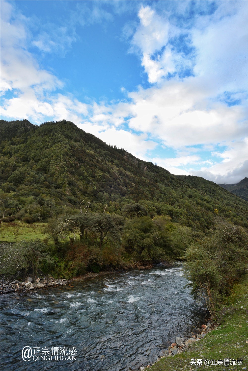 夜色成都串串爽,魅力小金苹果香#国庆中秋趣哪玩#