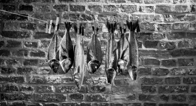 美食摄影真的没有这么难,美食摄影一拍就上手