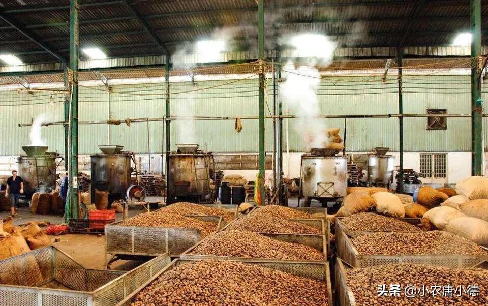 在农村开这4个加工厂不愁没销路,在农村不打工可以做点什么