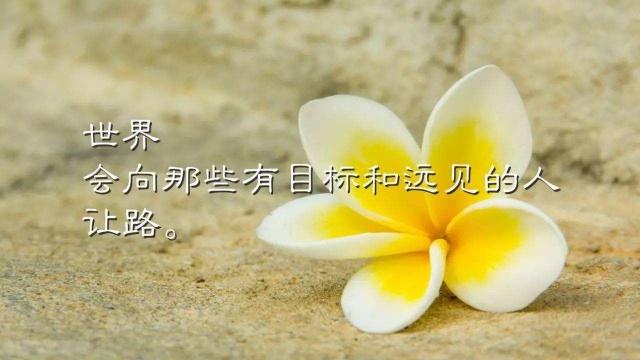 适合发朋友圈的22条心灵鸡汤语录,2019心灵鸡汤霸气语录