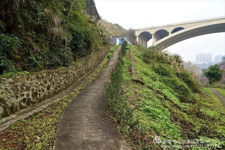 北碚复兴镇最近的视频,重庆市北碚龙门桥