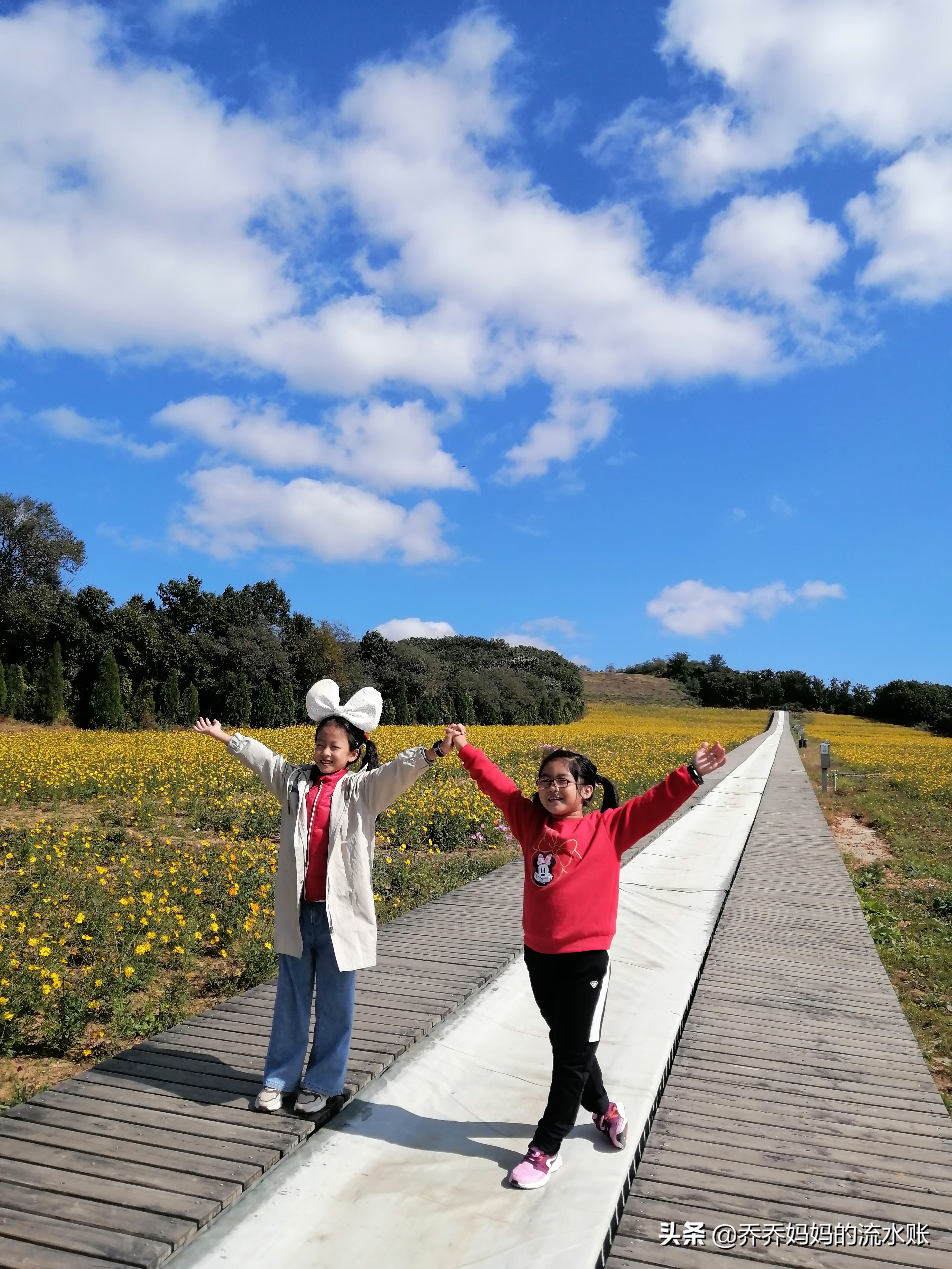 记录生活2020年5月,记录原生态牧场生活