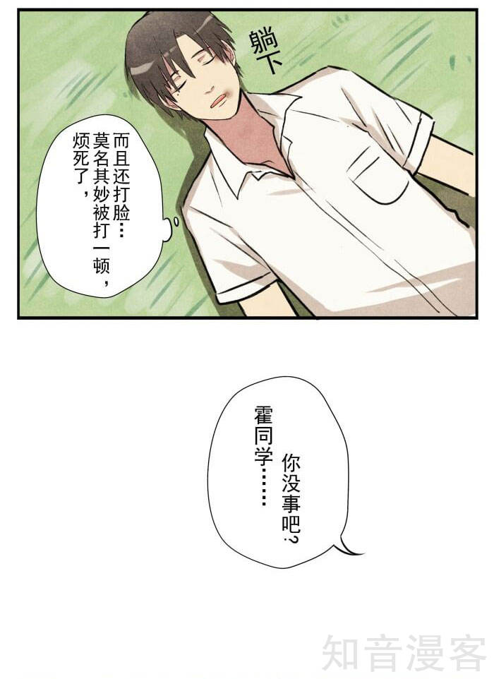 猫和铲屎官的日常生活漫画,猫和铲屎官的日常漫画