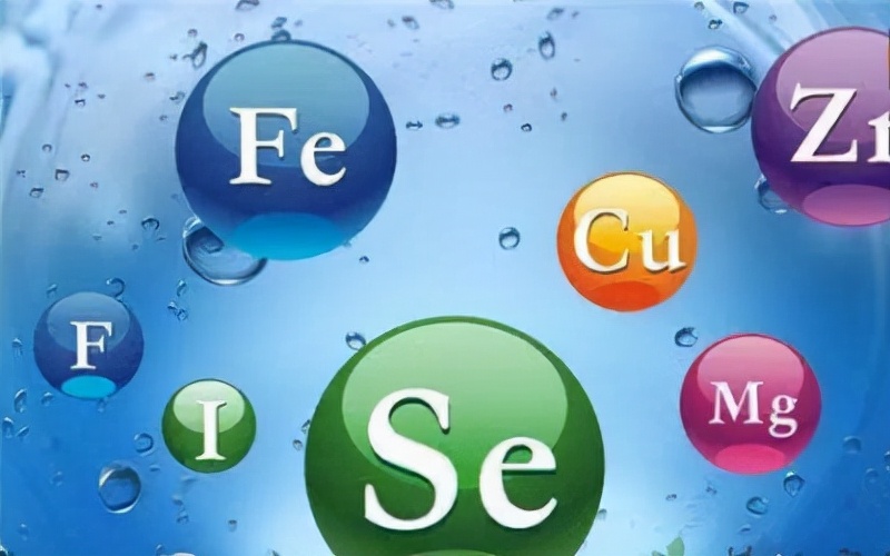 狗为什么喜欢吃叶子,狗狗为什么喜欢吃花叶子