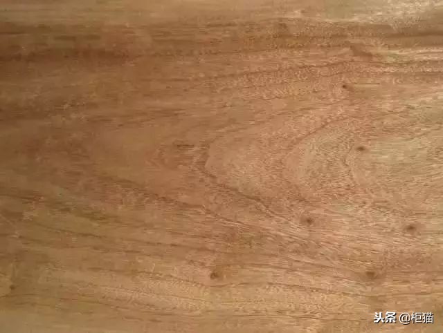 各类木材硬度表，国产木材怎么样？举例说明