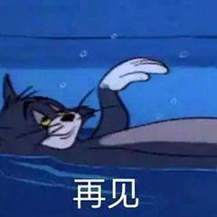 我只是个肥宅表情包,表情包我能插嘴吗