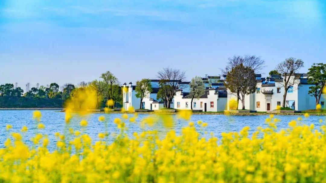 引爆文旅市场,蚌埠城南新建不夜城