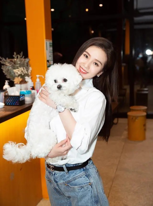 刘诗诗身穿针织衫配彩条纹阔腿裤,刘诗诗白衬衫搭刺绣裙造型清爽