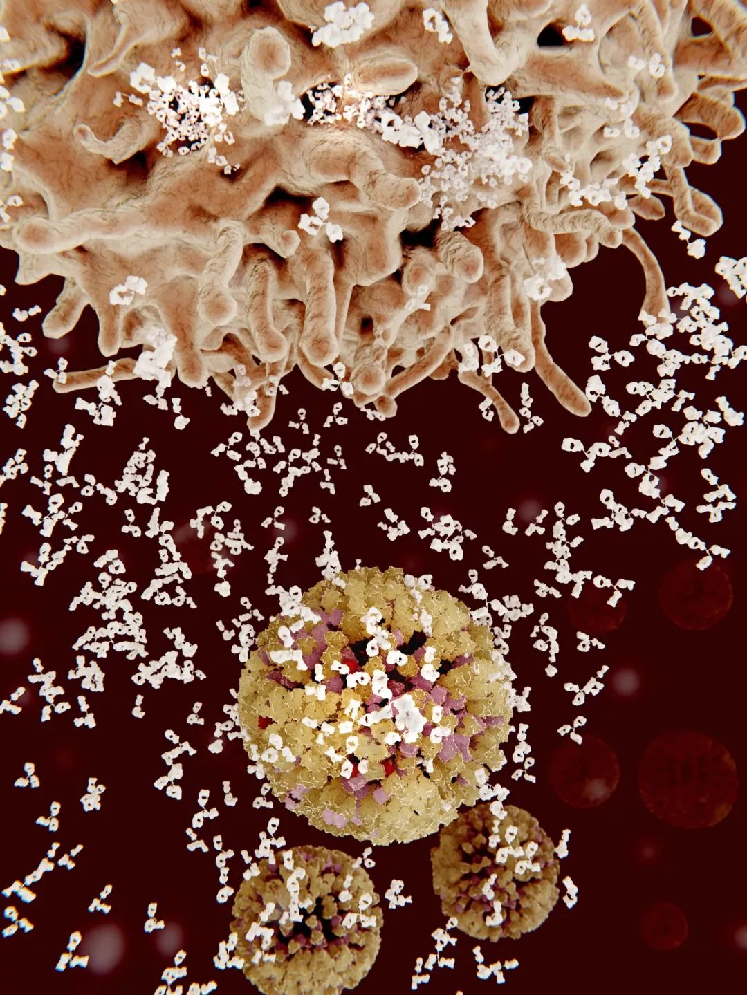 医生和病毒作战,我们如何对付病毒