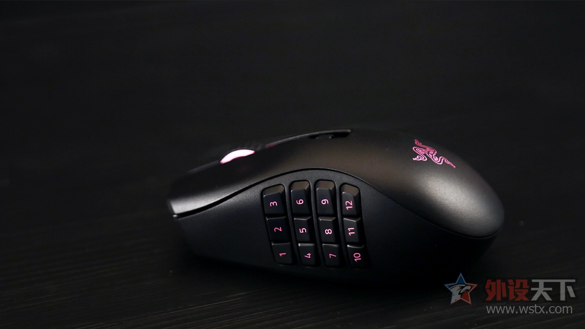 雷蛇那伽梵蛇鼠标宏,雷蛇那伽梵蛇专业版怎么装电脑上