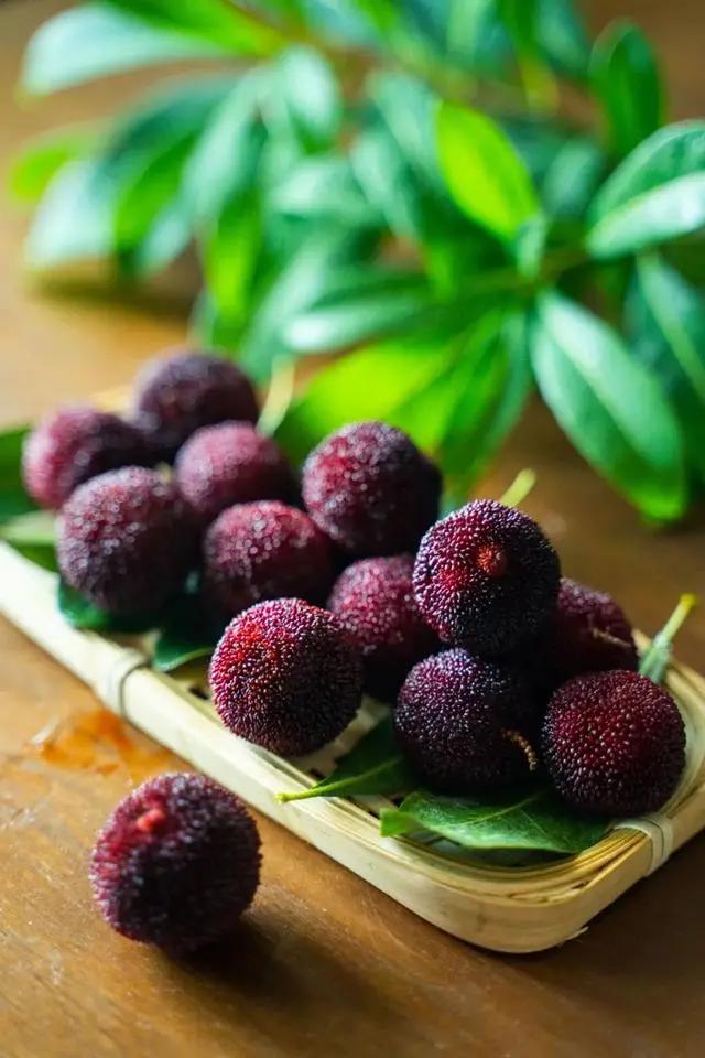 夏天在诗歌中的叫法,夏天的唯美诗词