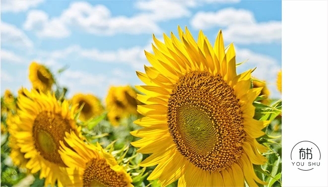 怎么对待父母的金钱,怎么对待把退休金月月花光的人