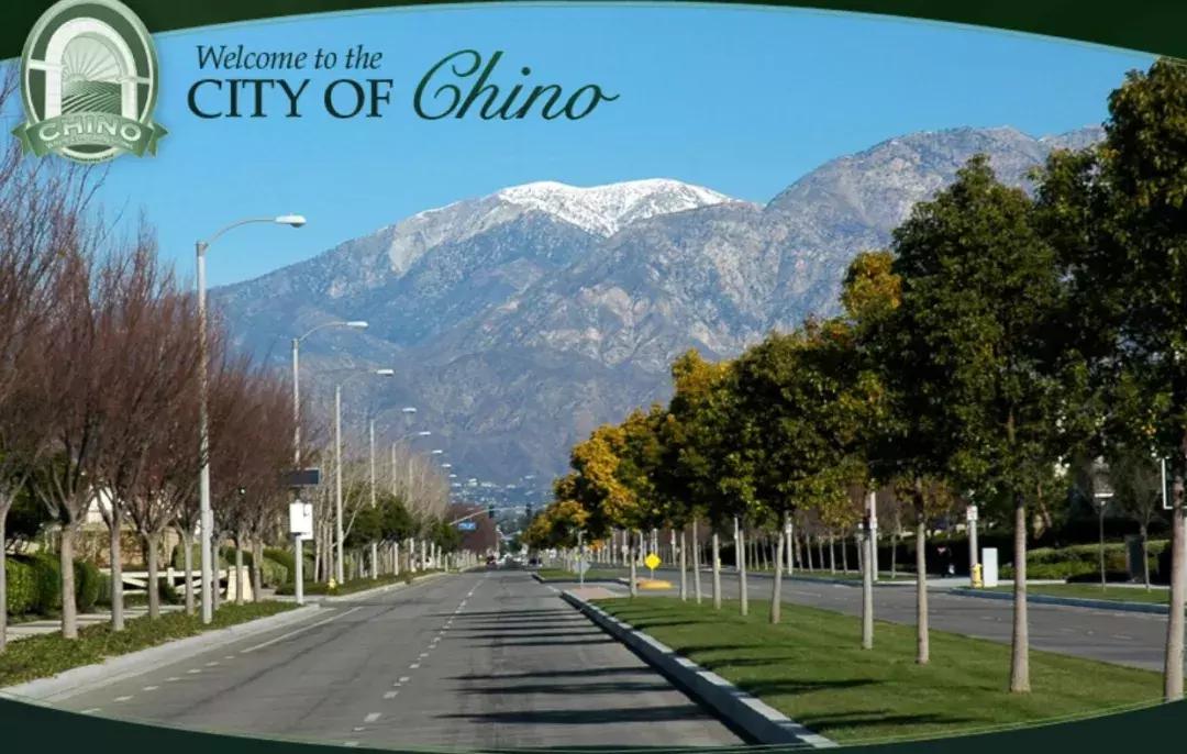 笋盘推荐性价比高,高性价比笋盘推荐