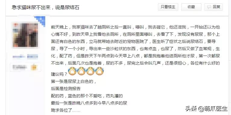 如何促使猫咪喝水,猫咪喜欢喝水吗