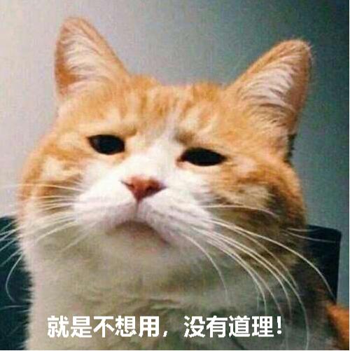猫咪尿液除臭小苏打的使用方法,猫咪往床上尿尿了买什么除臭