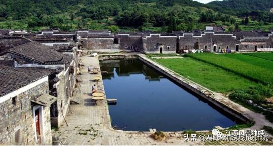 鄱阳湖候鸟保护区站长是谁,鄱阳湖候鸟江西都昌县