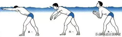 蛙泳入门，一学就会！