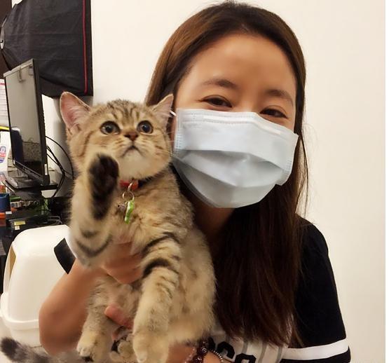 怎样才是正确的抱猫的姿势,怎样正确的抱猫还不会让猫咪挣扎