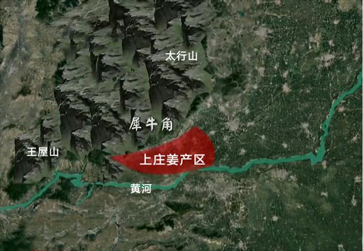 冬吃萝卜夏吃姜这个说法对吗,冬吃萝卜夏吃生姜对吗