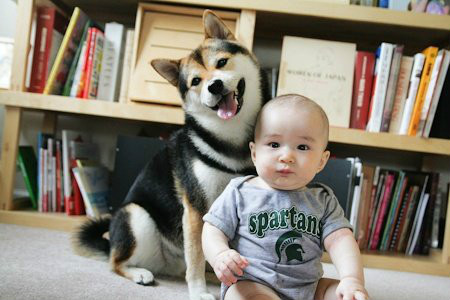 孩子养动物是满足他什么需求,适合当宠物养的四大动物