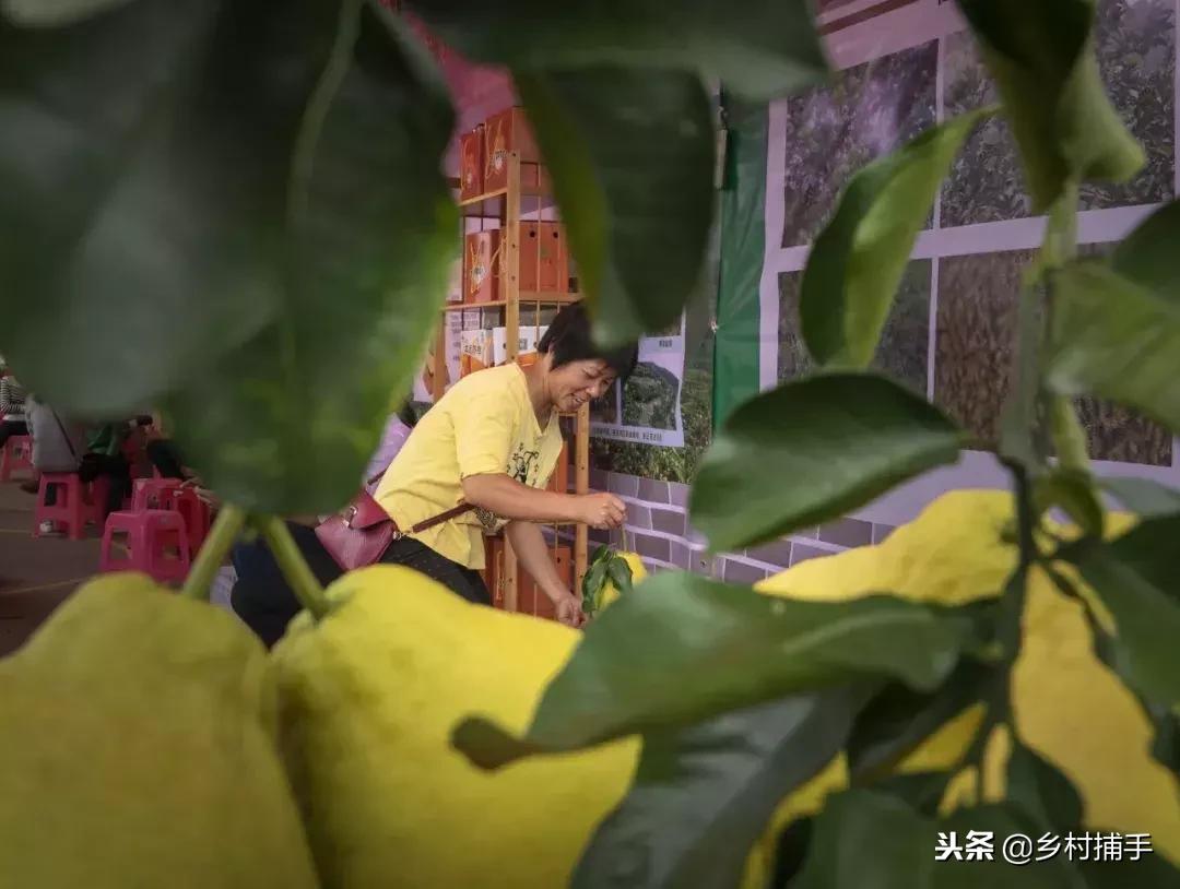 南粤古驿道拍摄后记,2018南粤古驿道展示