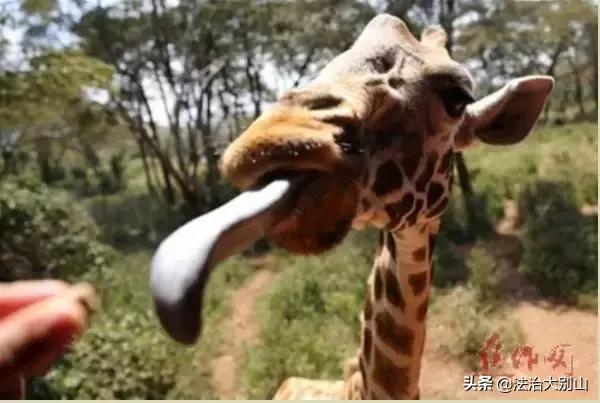 颠覆你认知的16个买房冷知识,广西十大颠覆你认知的冷知识