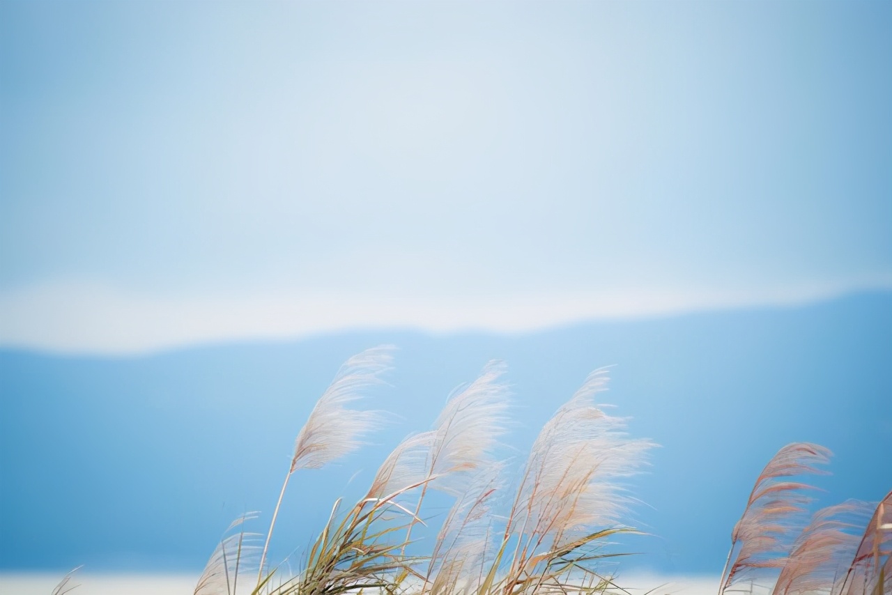 所谓的感同身受就是冷暖自知,哪有什么感同身受冷暖自知罢了