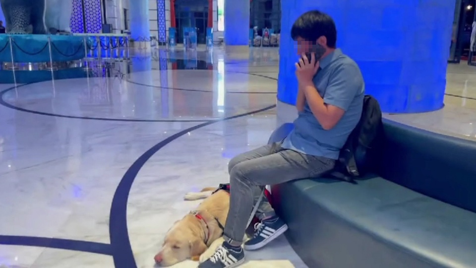 珠海长隆就导盲犬入住酒店遭拒,导盲犬入住酒店被拒长隆回复