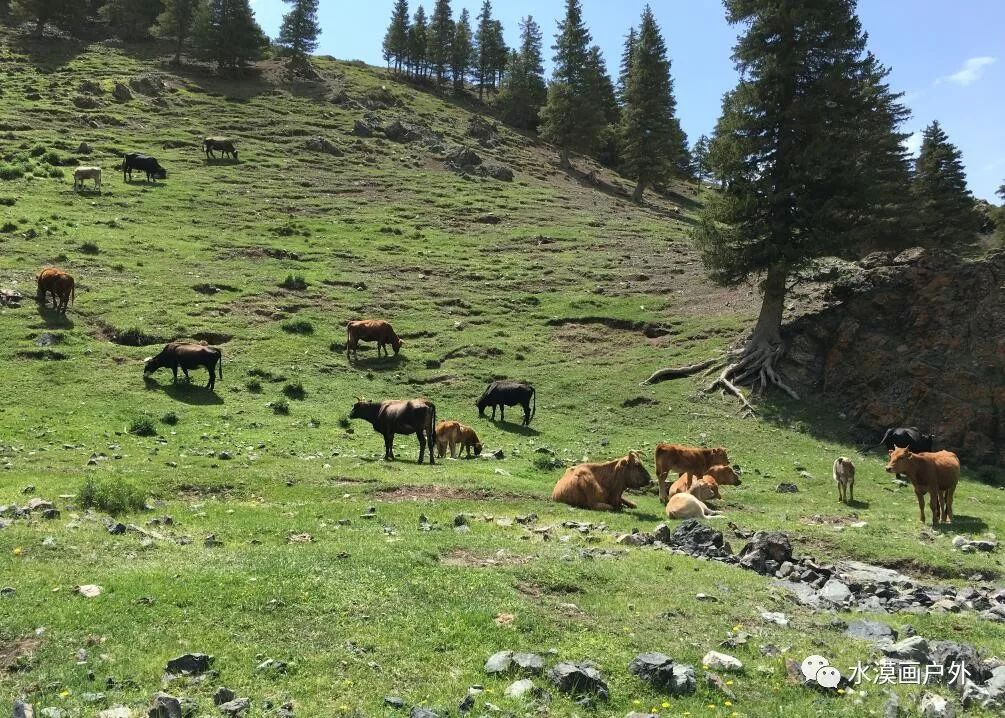 5月22漠海邀您天狼线湖峡花溪穿越「水漠画户外」2021徒步探索