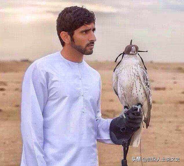 阿联酋发展速度,阿联酋是怎么发展起来的