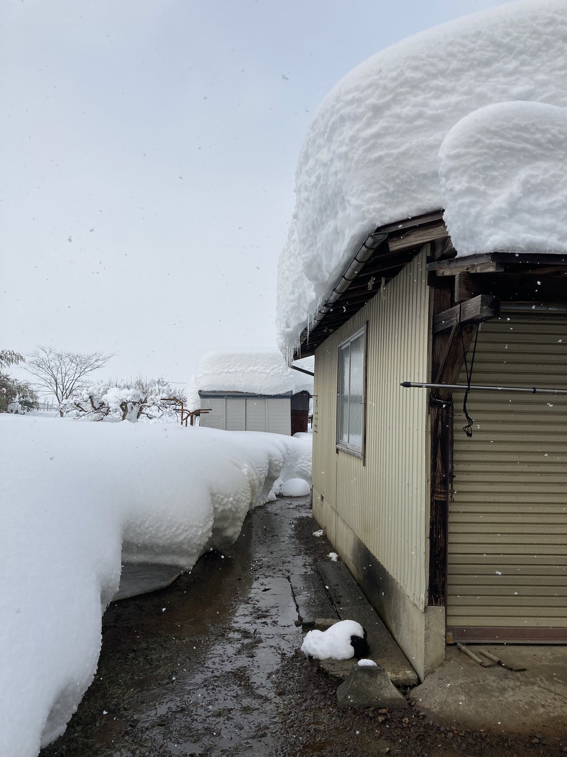 猫咪被困通风井六天救出来,猫咪被困男孩踮脚救助