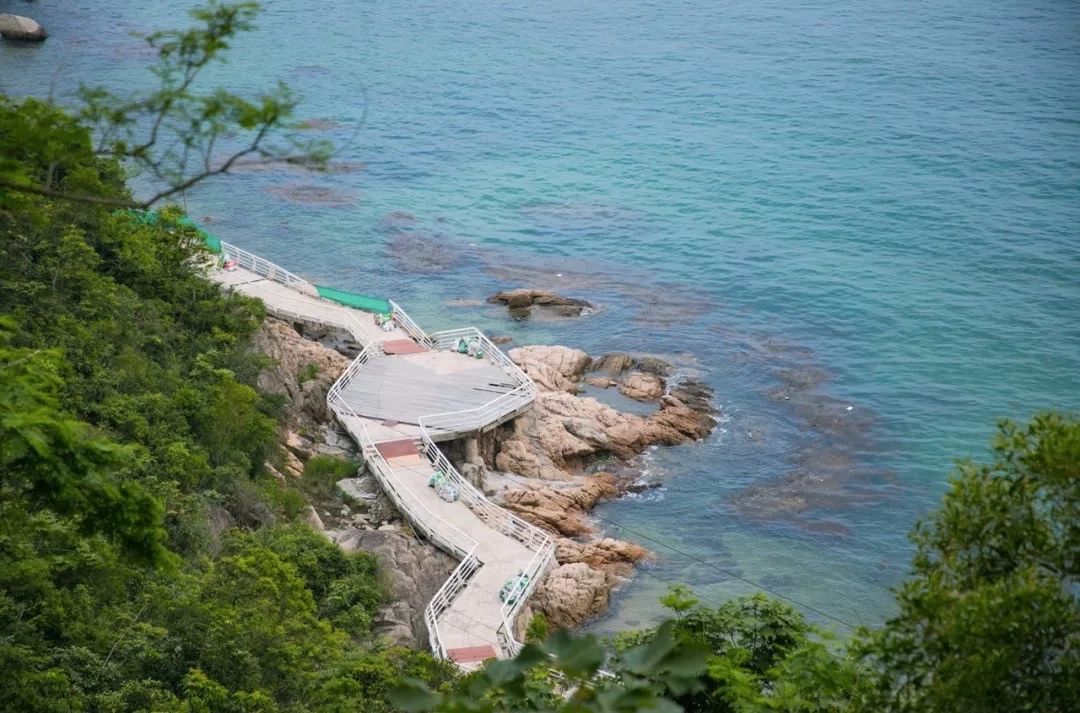 深圳最适合亲子游的好去处,深圳周末家庭游玩好去处