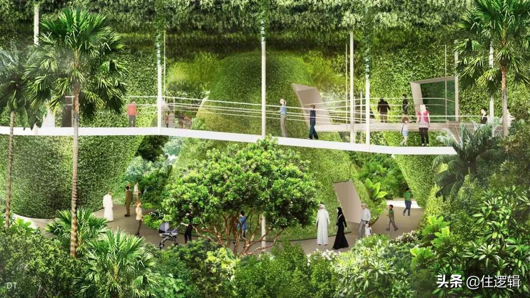 迪拜世博会中国馆建筑师,设计师吐槽大会