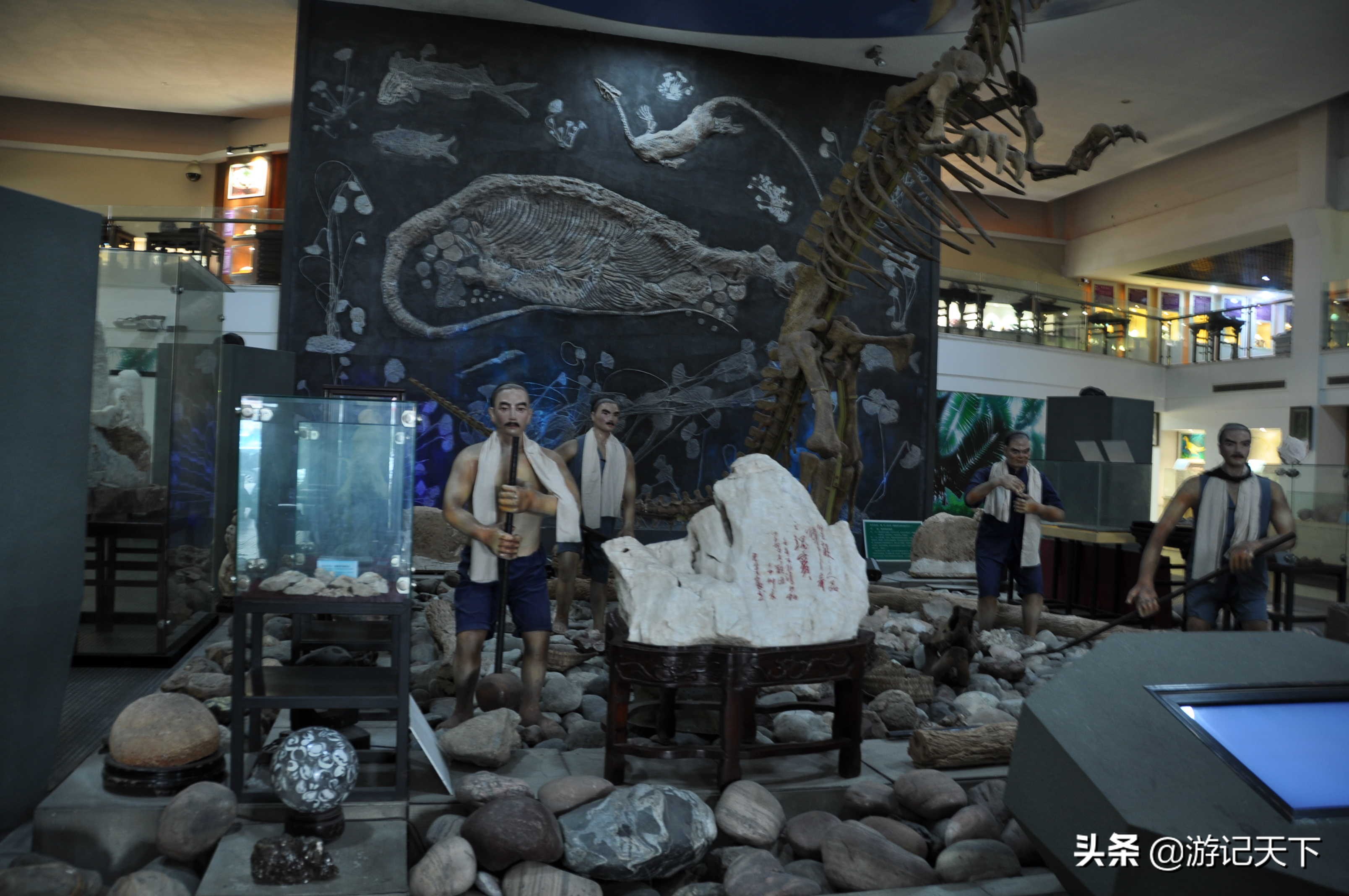 阿尼亚参观博物馆,上海地质科普馆游玩